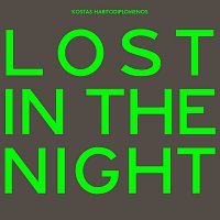 Lost In The Night