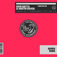 David Guetta & Martin Solveig – Thing For You (Agoria Remix)