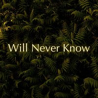 Přední strana obalu CD Will Never Know