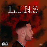 MAEL – L.I.N.S