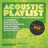 Přední strana obalu CD Acoustic Playlist: Mild - A New Blend Of Your Favorite Songs