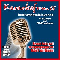 Karaokefun.cc VA – Brenna tuats guat - Instrumental - Karaoke