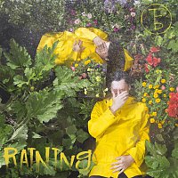 The Front Bottoms – Raining