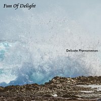 Delicate Phenomenon – Fun Of Delight