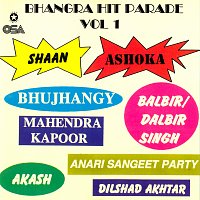 Různí interpreti – Bhangra Hit Parade, Vol. 1