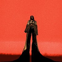 India Shawn – Kill Switch