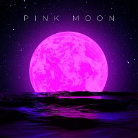 Přední strana obalu CD Pink Moon