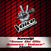 Kendji Girac – Amor De Mis Amores / Volare - The Voice 3