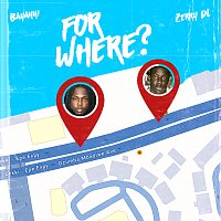 Bayanni, Zerrydl – For Where?