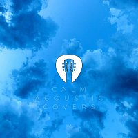 Různí interpreti – Calm Acoustic Covers