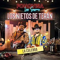 Los Nietos De Terán – La Culebra [Live Sessions]