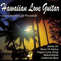 Přední strana obalu CD Hawaiian Love Guitar