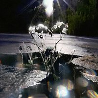mew – oh my god