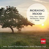 Various  Artists – Morning Mood (International Version)
