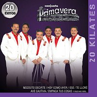 Conjunto Primavera – 20 Kilates 20 Éxitos