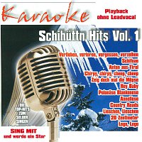 Best of Schihuttnhits Vol.1 - Karaoke
