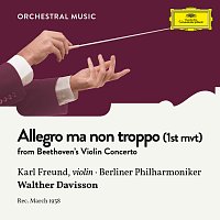 Karl Freund, Berliner Philharmoniker, Walther Davisson – Beethoven: Violin Concerto in D Major, Op. 61: 1. Allegro ma non troppo
