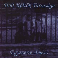 Přední strana obalu CD Egyszerre elmész