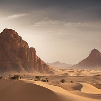 Ahmed Ali – العربية الخالدة