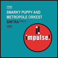 Snarky Puppy, Metropole Orkest – Sintra [Live]