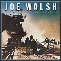 Joe Walsh – You Bought It - You Name It