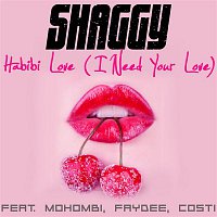 Shaggy, Mohombi, Faydee, Costi – Habibi Love (I Need Your Love)