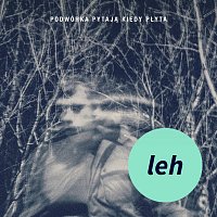 Leh – Podwórka pytają kiedy płyta