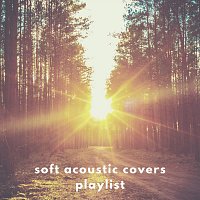 Různí interpreti – Soft Acoustic Covers Playlist