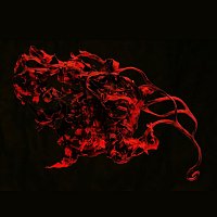 Přední strana obalu CD Ephemeral