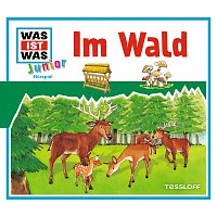 Was Ist Was Junior – 11: Im Wald