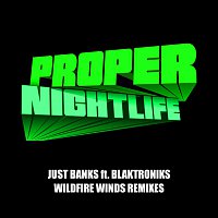 Just Banks – Wildfire Winds Remixes