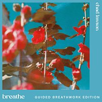 Přední strana obalu CD breathe [guided breathwork edition]