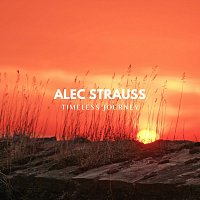 Přední strana obalu CD Timeless Journey