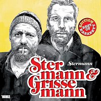 Přední strana obalu CD Stermann 