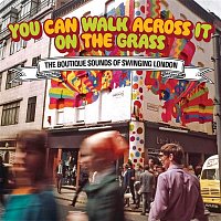 Přední strana obalu CD You Can Walk Across It On The Grass: The Boutique Sounds Of Swinging London