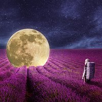 Přední strana obalu CD Endless Sky