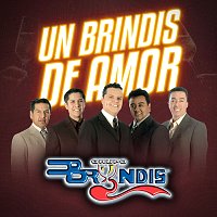 Grupo Bryndis – Un Brindis De Amor