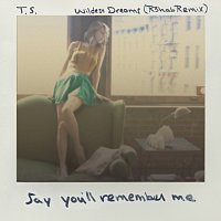 Wildest Dreams [R3hab Remix]