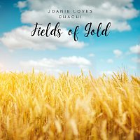 Joanie Loves Chachi – Fields of Gold