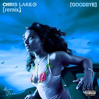 Ayra Starr, Chris Lake – Goodbye (Warm Up) [Chris Lake Remix]