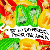 AI, Awich – Not So Different [Remix]