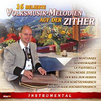 Diverse Interpreten – 16 beliebte Volksmusik-Melodien auf der Zither