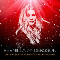 Pernilla Andersson – Det fryser pa Norrmalarstrand igen