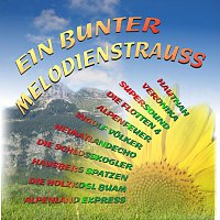 Diverse Interpreten – Ein bunter Melodienstrausz