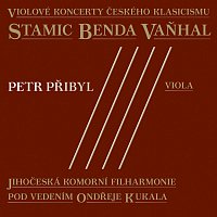 Přední strana obalu CD Violové koncerty českého klasicismu