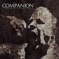 Companion – You Are Not on Your Own