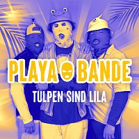 Playabande – Tulpen sind lila