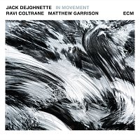 Jack DeJohnette, Ravi Coltrane, Matt Garrison – In Movement