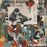 Thorstein Bergman – Fragment