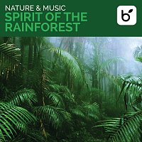 David Arkenstone – Nature & Music: Spirit Of The Rainforest